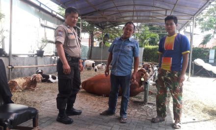 Bhabinkamtibmas Polsek Cipondoh Sambangi Penjual Hewan Qurban