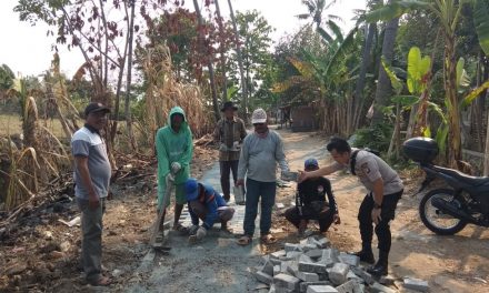 Gotong Royong Bhabinkamtibmas Bersama Warga Ds. Lemo Saat Pemasangan Paving Blok