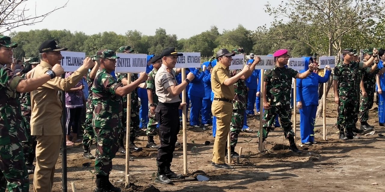 Penanaman Hutan Mangrove Rayakan HUT TNI Dihadiri Kapolsek Teluknaga