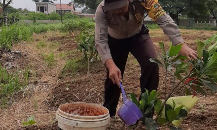 Bhabinkamtibmas Polsek Cipondoh Kelurahan Kunciran Indah, Aiptu T.Raharjo Melakukan Pengecekan dan Perawatan Tanaman Penghijauan di Kp.Bojong Bulag Kunciran Indah