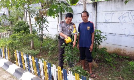 Wujud Polisi Peduli Lingkungan, Aiptu Suhandi Melaksanakan Perawatan Tanaman Pohon Jeruk Limo