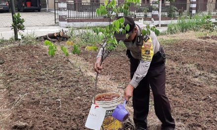 Perawatan Tanaman Penghijauan Dengan Senang Hati dan Ikhlas Demi Kebaikan, Sebut Aiptu T. Raharjo