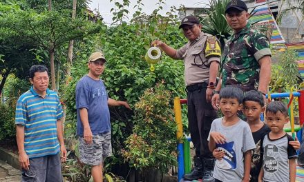 Bhabinkamtibmas Lakukan Perawatan dan Penyiraman Pohon Program Polri Peduli Lingkungan