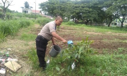 Aipda Heri Dwi S Melaksanakan Perawatan Pohon buah Demi Penghijauan lingkungan dan Resapan Air