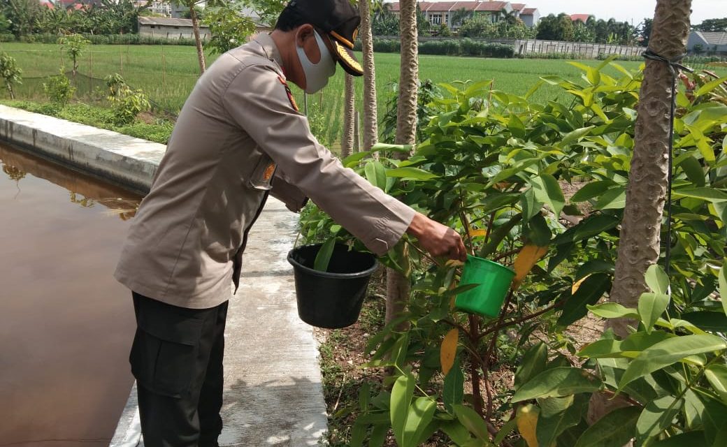 Di Suasana Bencana Ramainya Covid-19 Polsek Batu Ceper melaksanakan aktifitasnya dengan menjalankan Program Unggulan yaitu ‘’ POLRI Peduli Akan Penghijauan ‘’