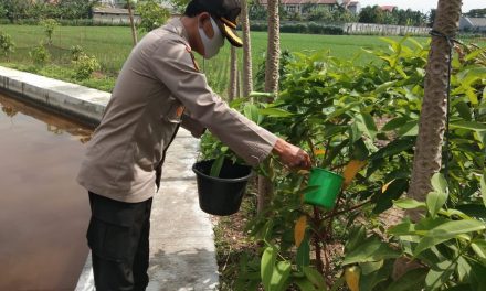 Di Suasana Bencana Ramainya Covid-19 Polsek Batu Ceper melaksanakan aktifitasnya dengan menjalankan Program Unggulan yaitu ‘’ POLRI Peduli Akan Penghijauan ‘’