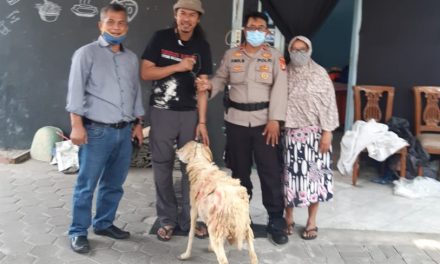 Wakapolsek Cipondoh Salurkan Hewan Kurban Kepada Mitra Polri Pokdarkamtibmas Kel. Neroktog, Pinang