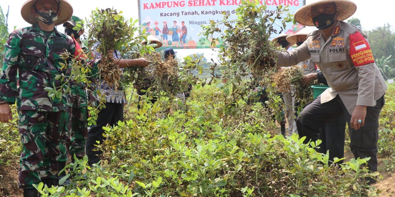 Kapolrestro Tangerang Kota Panen Raya Sayur Mayur